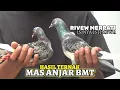 Download Lagu RIVEW MERPATI MAS ANJAR BMT. ISINYA MEWAH SEMUA