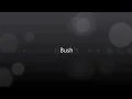 Bush  Everything zen lyrics