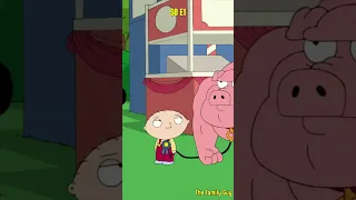 Stewie Won A Pig Shorts Familyguy  Stewie Won A Pig Shorts Familyguy