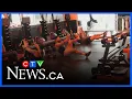 Supporting strength and longevity at Orangetheory Fitness
