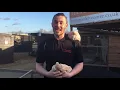 Introducing the Pekin Bantam