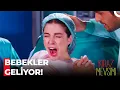Lagu Öykü ve Ayaz'ın İkizleri Oldu - Kiraz Mevsimi 59. Bölüm (FİNAL)