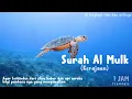 Download Lagu SURAH AL MULK Irama Jiharkah Merdu 1jam