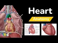 Download Lagu ANATOMY OF THE HEART (Parts, Structure, Location \u0026 Function)