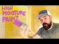 What is the Best Bathroom Paint for Moisture