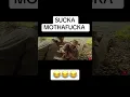 Download Lagu SUCKA MOTHAFUCKA 🤣🤣🤣🤣#soulmen #movie #ripberniemac