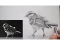 Download Lagu How to Shade a Sparrow - No Timelapse (Part 2 - Long) ✔