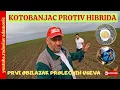 Download Lagu KOTOBANJAC PROTIV HIBRIDA : PRVI OBILAZAK PROLEĆNIH USEVA! ; FIRST REVIEW OF SPRING CROPS 2024!