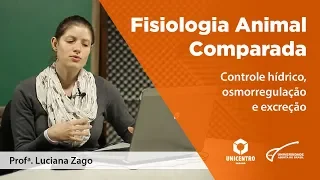 [BIO] Controle hídrico, osmorregulação e excreção - Fisiologia Animal Comparada