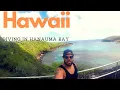 Diving at Hanauma Bay Hawaii - The Wild Yellow Tang