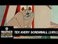 Lagu Daredevil Droopy | Tex Avery Screwball | Warner Archive