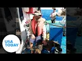 Watch the emotional moment fisherman dog rescued after months at sea USA TODAY