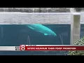 Mystic Aquarium offers ticket discount