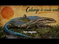 Turma do Pagode - Dessa Vez (Ao Vivo) || Letra/Lyrics