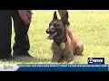 Sedgwick County Fire District 1 introduces K9 Violet