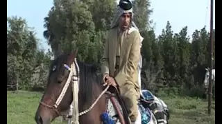 الشاعر حسين الدراجي على ضهر الكحيله دندنها