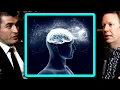Physicist argues about consciousness Sean Carroll and Lex Fridman