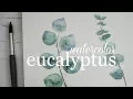 How To Paint Eucalyptus Watercolor Techniques Explained