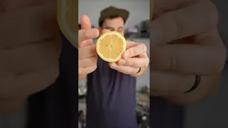 MICHELIN STAR LEMONADE  MICHELIN STAR LEMONADE