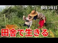 Download Lagu 荒地だった土地で、自然農に挑戦しました。最後にお知らせ【移住奮闘記#115】
