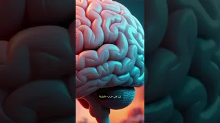 القلب أم العقل من يقود قراراتك الحقيقية الذكاء العاطفي Innerpeace Leadership Shorts 