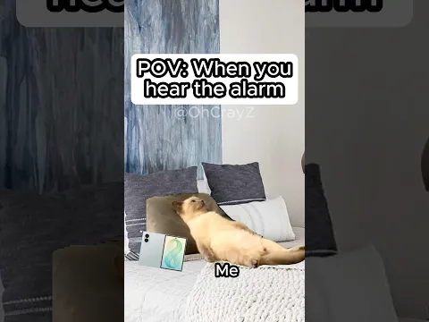 CAT MEMES 🐱 WHEN YOU HEAR THE ALARM #relatable #cat #funny #memes #shorts