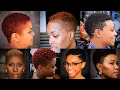 100 Natural Short Haircut Ideas for Black Women Tapered Cut Hairstyle for Natural Hair