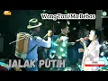 Download Lagu JALAK PUTIH - DEWI DIVA - NEW FELICIA - LIVE ONLINE