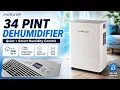 AIRVIP 34 Pint Dehumidifier for Medium Sized Spaces