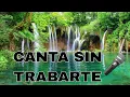 CANTA SIN TRABARTE