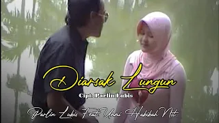 diarsak lungun parlin lubis feat ummi habibah official music video 
