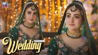hiba bukhari wedding moments ary zindagi
