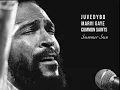 Marvin Gaye & Juvedybo / Common Saints - Summer Sun