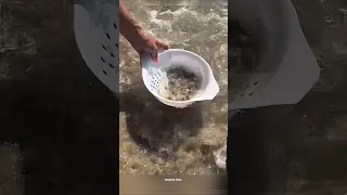 This Man Is Playing With The Sand By The Se 