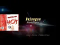 Download Lagu Bujangan  (Disco Remix) - Rhoma Irama