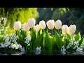Download Lagu Целительная музыка для души и сердца -нежные мелодии, которые приносят покой и тепло | Сергей Грищук