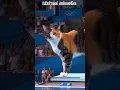 Lagu #1 Calico Cat's Perfect Dive Stuns Spectators! #calicocat#perfectdive.#calicocat#pooljump