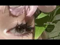 Download Lagu sherine - el watar el hassas [slowed+reverb]