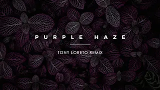 roni iron tony loreto purple haze tony loreto remix 