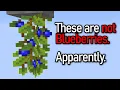 Download Lagu Why Mojang put blueberries in the update video.