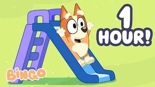 It's Time for Backyard Races 🛝🏁 | Bingo - Official Channel