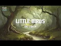 Download Lagu she's green - Little Birds (Lyric Video)