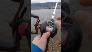 How To Get Rid Of A Backlash Quickly And Effectively Shorts 