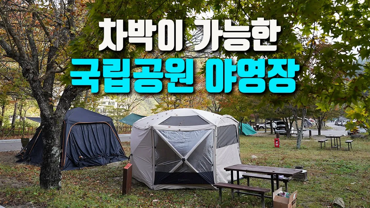 차박이 허용되는 소금강 자동차 야영장에서 캠핑 / 오대산 소금강 단풍산행 / 캠핑장을 가도 차박 / camping 썸네일