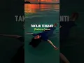 🔥 Amazing, Shabrina Leanor - Takkan Terganti (Preview Lirik)