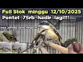 Download Lagu TURUN HARGA❗❗❗ FULL STOK MINGGU 12/10/2025 PENTET 75rb HADIR LAGI❗ CIPO JANTUNG TURUN❗