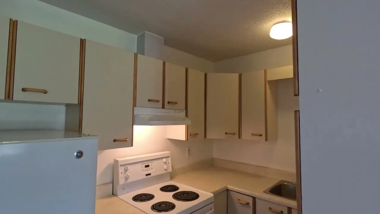 img-video