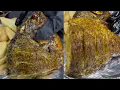 How To Make SUPER EASY AND TASTY TILAPIA RECIPE