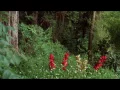 Men Without Hats - Safety Dance [Bio-Dome]