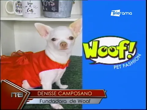 Woof Pet Fashion marca de moda para mascotas